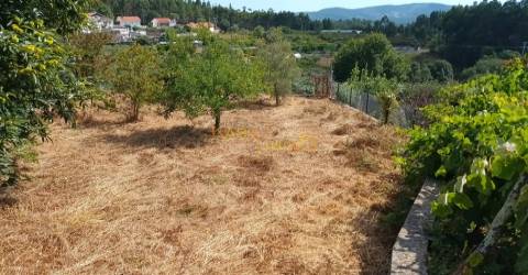 Terreno C/ Projeto Aprovado Centro Canedo