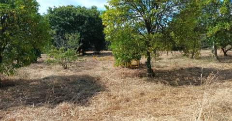 Terreno C/ Projeto Aprovado Centro Canedo