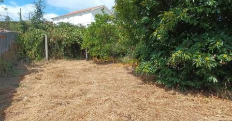 Terreno C/ Projeto Aprovado Centro Canedo