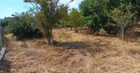 Terreno C/ Projeto Aprovado Centro Canedo