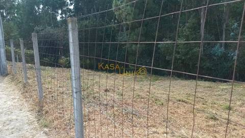 Terreno Urbano em Escariz C/ 704m2