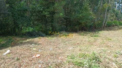 Terreno Urbano em Escariz C/ 704m2