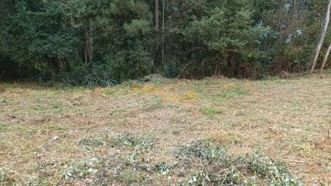 Terreno Urbano em Escariz C/ 704m2
