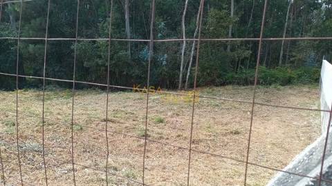 Terreno Urbano em Escariz C/ 704m2