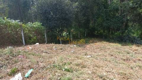 Terreno Urbano em Escariz C/ 704m2