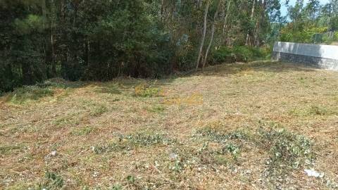 Terreno Urbano em Escariz C/ 704m2