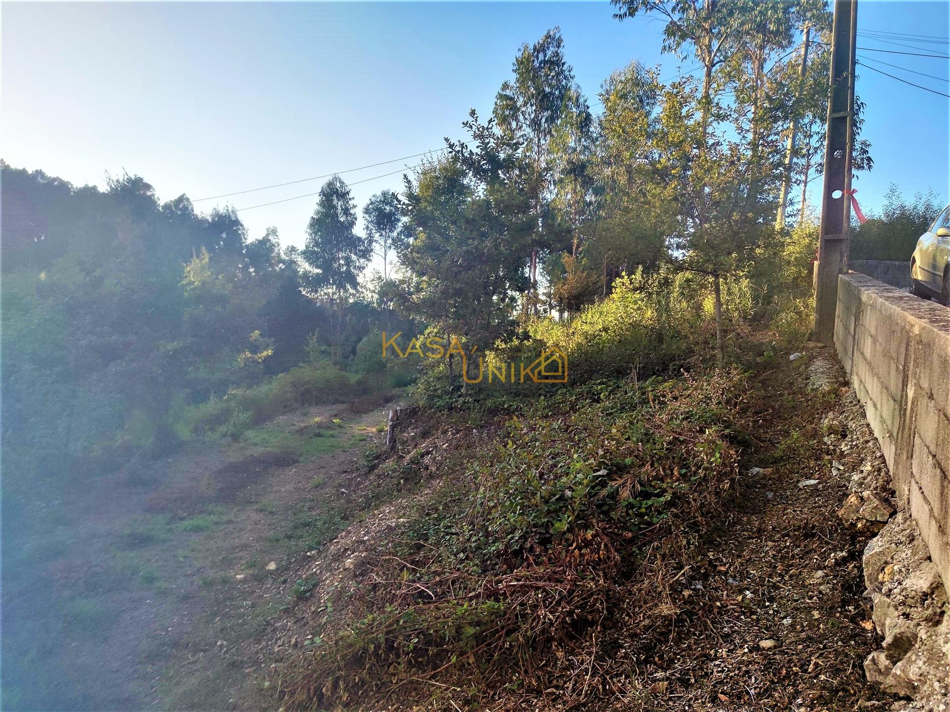 Terreno P/ Construção Centro Caldas de S. Jorge