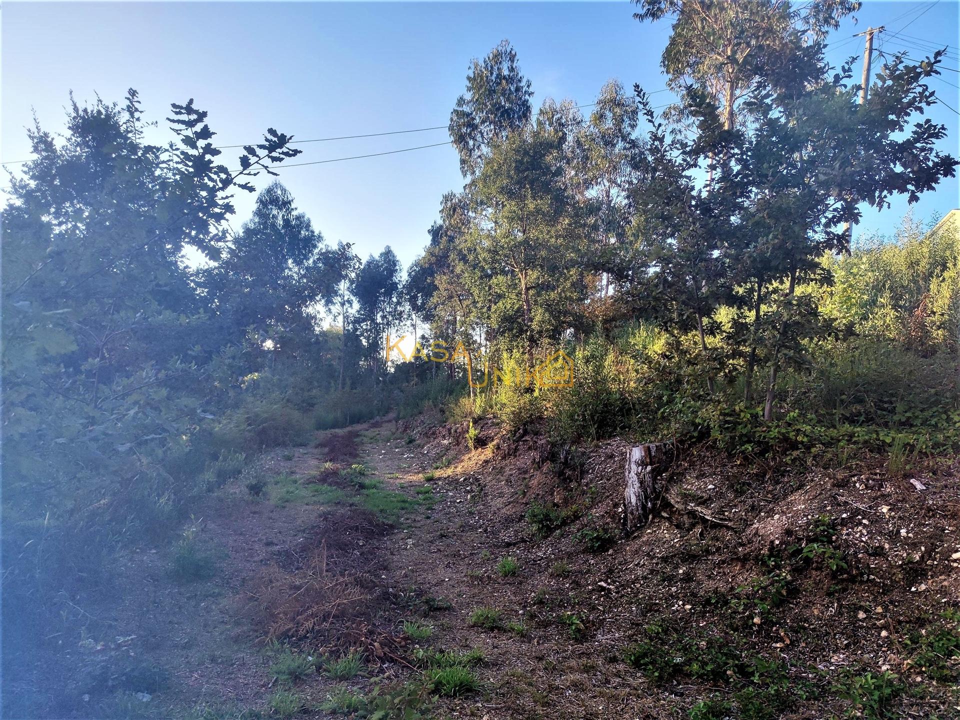 Terreno P/ Construção Centro Caldas de S. Jorge