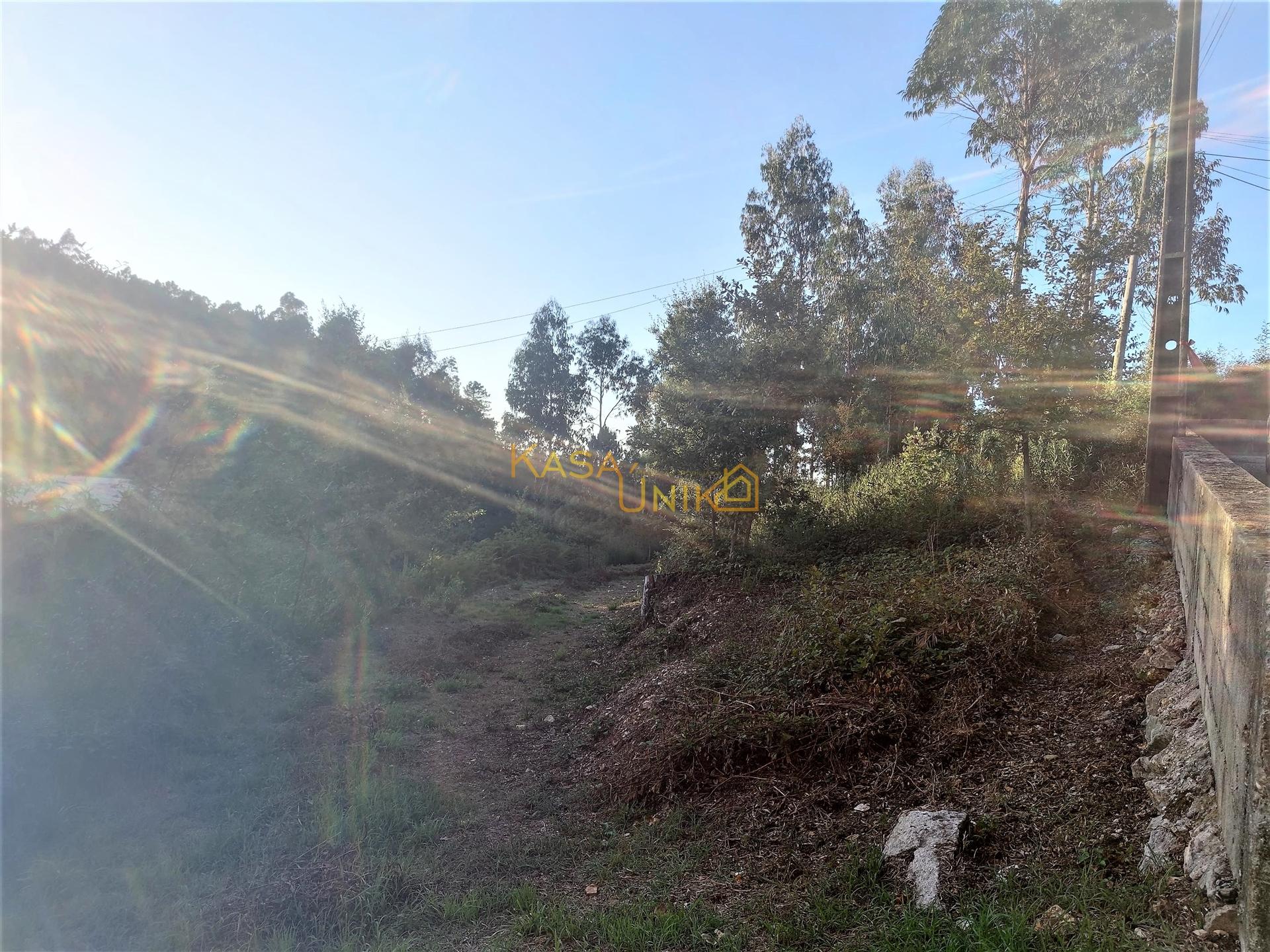 Terreno P/ Construção Centro Caldas de S. Jorge