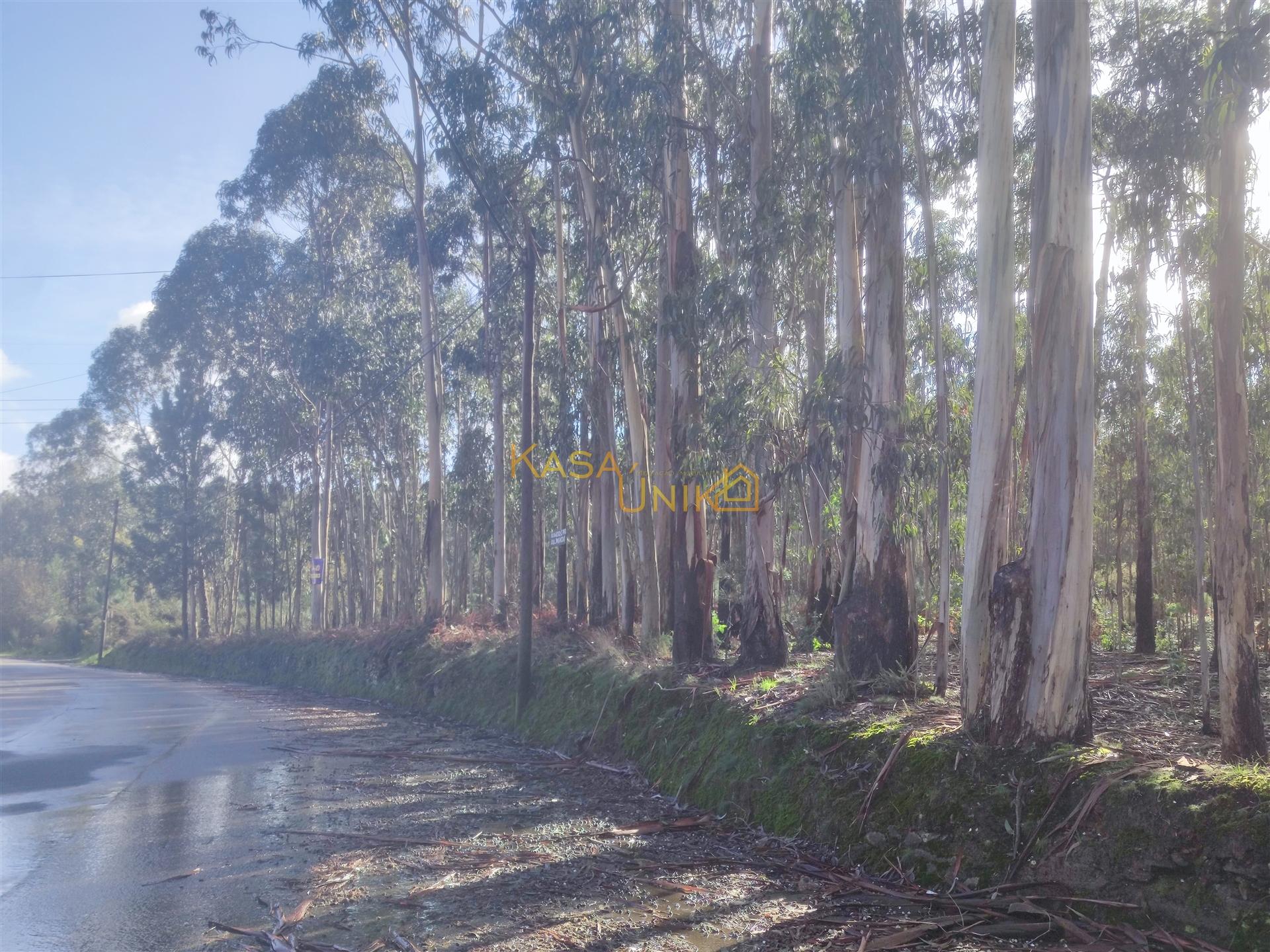 Terreno para construção em Canedo