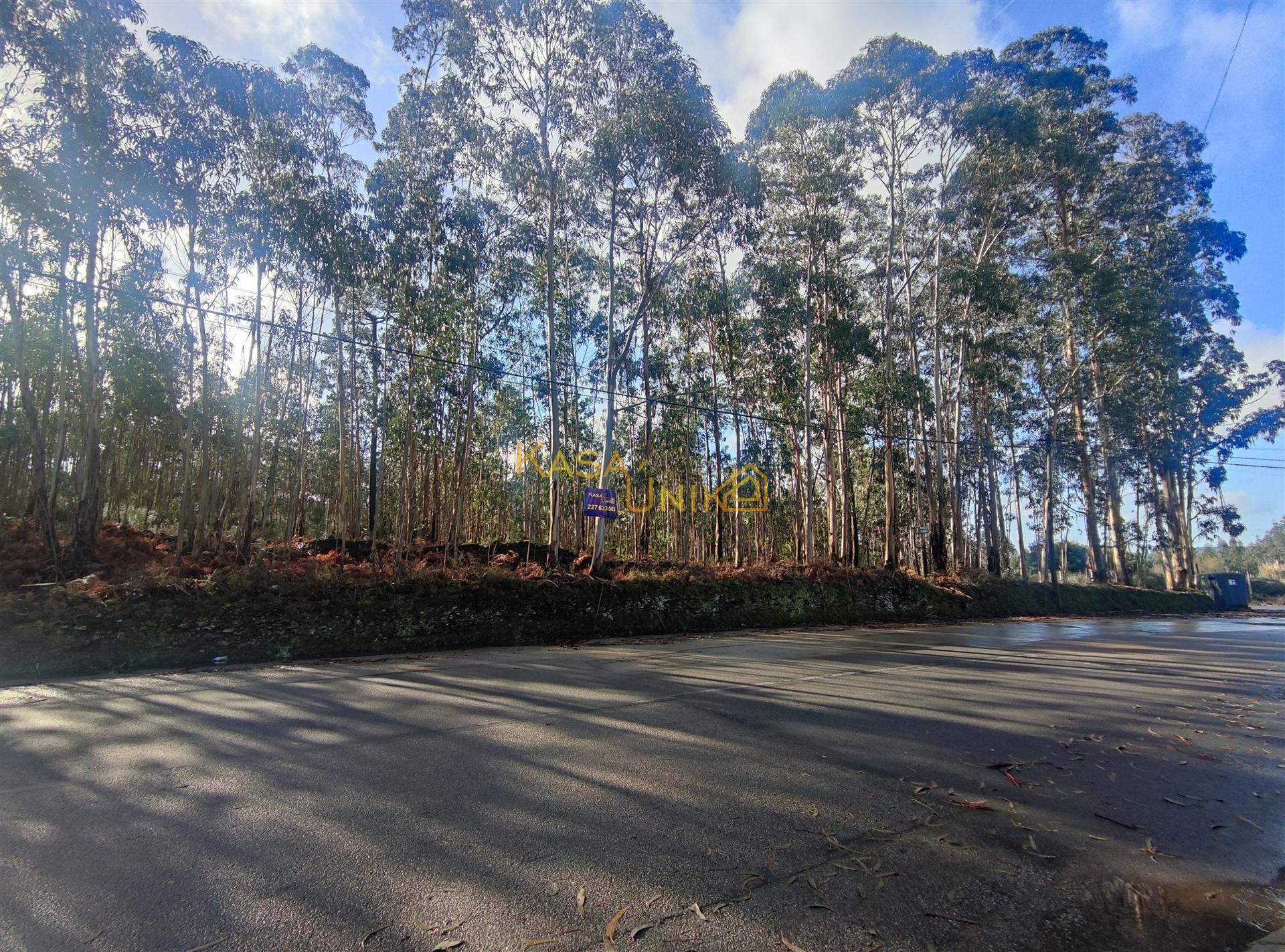 Terreno para construção em Canedo