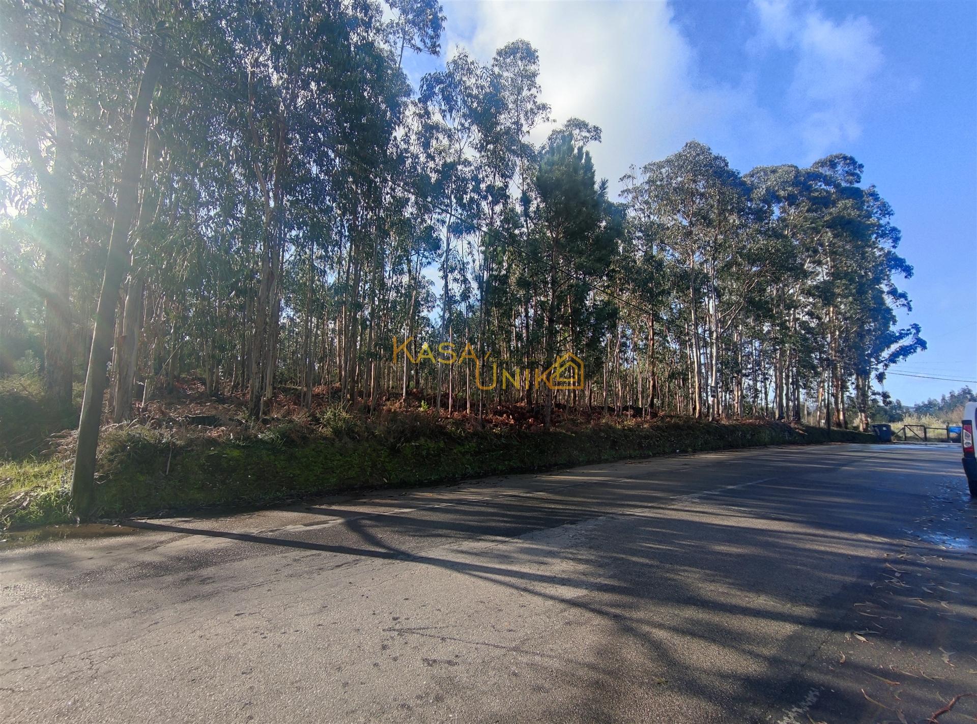 Terreno para construção em Canedo