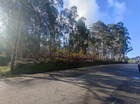 Terreno para construção em Canedo