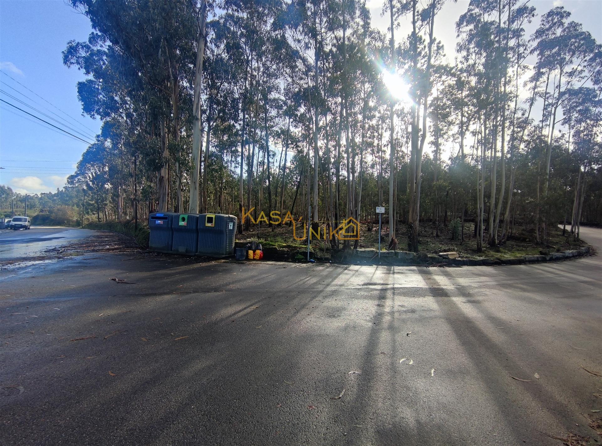 Terreno para construção em Canedo