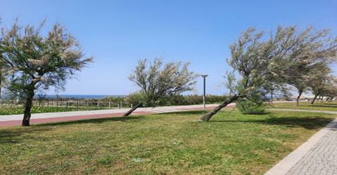 Terreno para construção a 500m da praia, em Canidelo