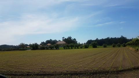 Moradia T6 Venda em Milhazes, Vilar de Figos e Faria,Barcelos