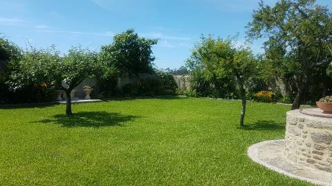 Moradia T6 Venda em Milhazes, Vilar de Figos e Faria,Barcelos