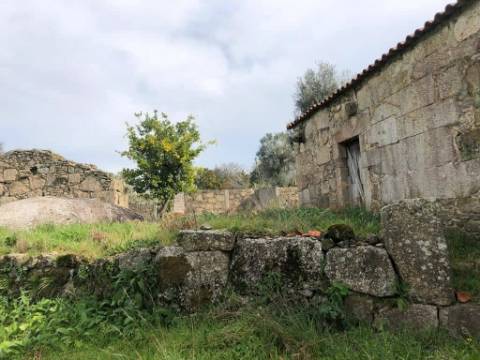 Quintinha  Venda em Adães,Barcelos