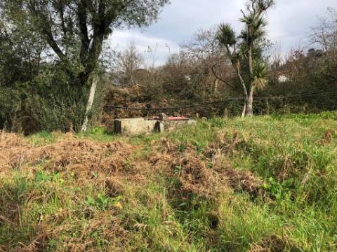 Quintinha  Venda em Adães,Barcelos