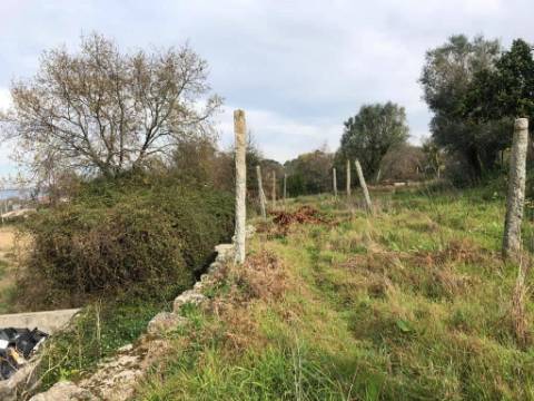 Quintinha  Venda em Adães,Barcelos