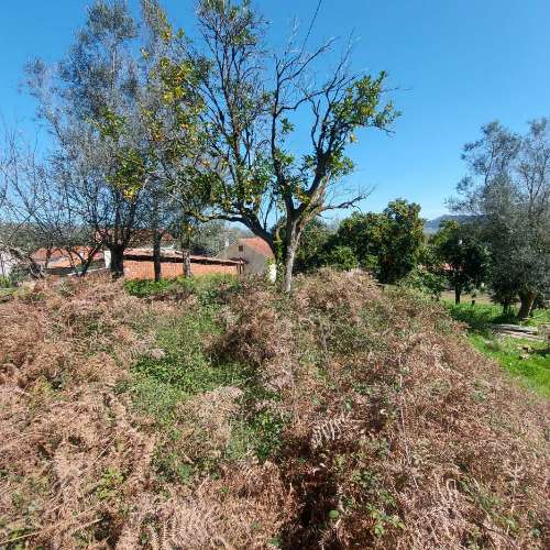 Moradia para Restaurar  Venda em Quintiães e Aguiar,Barcelos