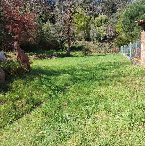 Moradia para Restaurar  Venda em Quintiães e Aguiar,Barcelos