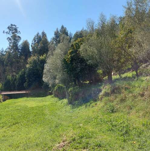 Moradia para Restaurar  Venda em Quintiães e Aguiar,Barcelos