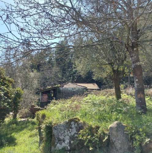 Moradia para Restaurar  Venda em Quintiães e Aguiar,Barcelos