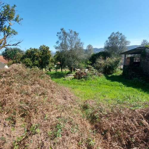 Moradia para Restaurar  Venda em Quintiães e Aguiar,Barcelos