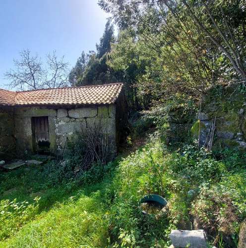 Moradia para Restaurar  Venda em Quintiães e Aguiar,Barcelos