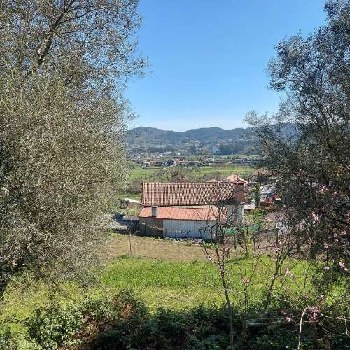 Moradia para Restaurar  Venda em Quintiães e Aguiar,Barcelos