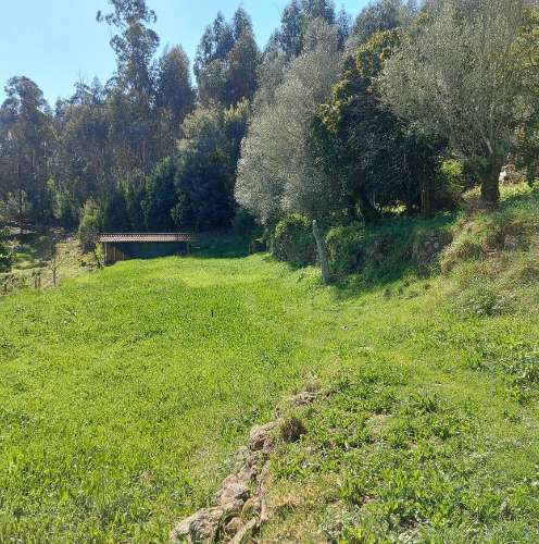 Moradia para Restaurar  Venda em Quintiães e Aguiar,Barcelos