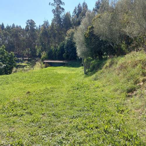 Moradia para Restaurar  Venda em Quintiães e Aguiar,Barcelos