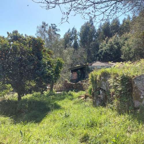 Moradia para Restaurar  Venda em Quintiães e Aguiar,Barcelos