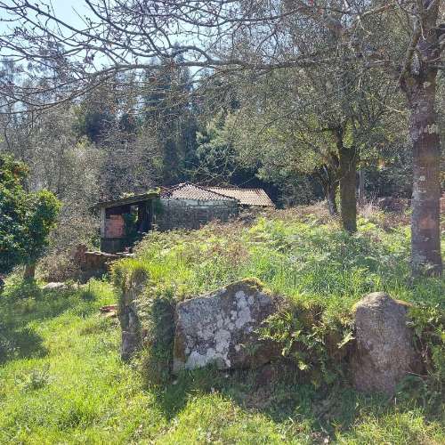 Moradia para Restaurar  Venda em Quintiães e Aguiar,Barcelos