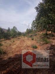 Quintinha T0 Venda em Vela,Guarda