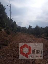 Quintinha T0 Venda em Vela,Guarda