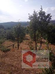 Quintinha T0 Venda em Vela,Guarda