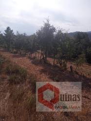 Quintinha T0 Venda em Vela,Guarda