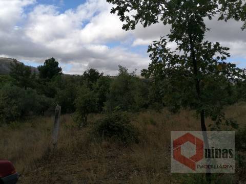 Quintinha T0 Venda em Vela,Guarda