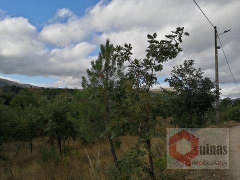 Quintinha T0 Venda em Vela,Guarda