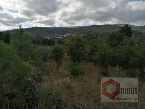 Quintinha T0 Venda em Vela,Guarda