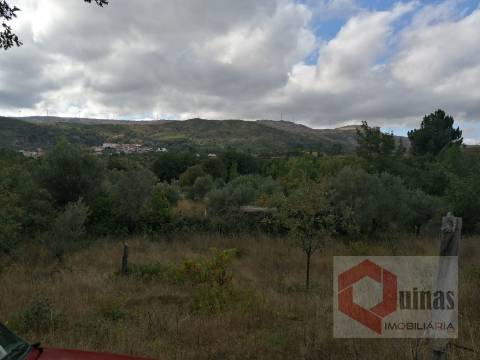 Quintinha T0 Venda em Vela,Guarda