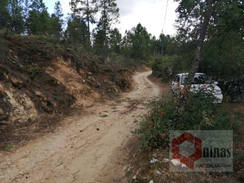 Quintinha T0 Venda em Vela,Guarda