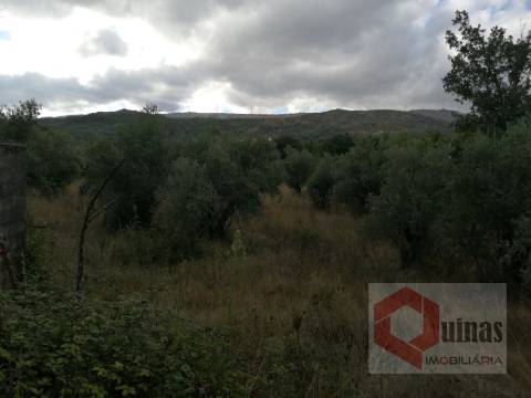 Quintinha T0 Venda em Vela,Guarda