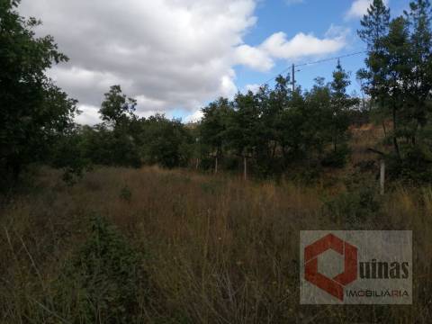 Quintinha T0 Venda em Vela,Guarda