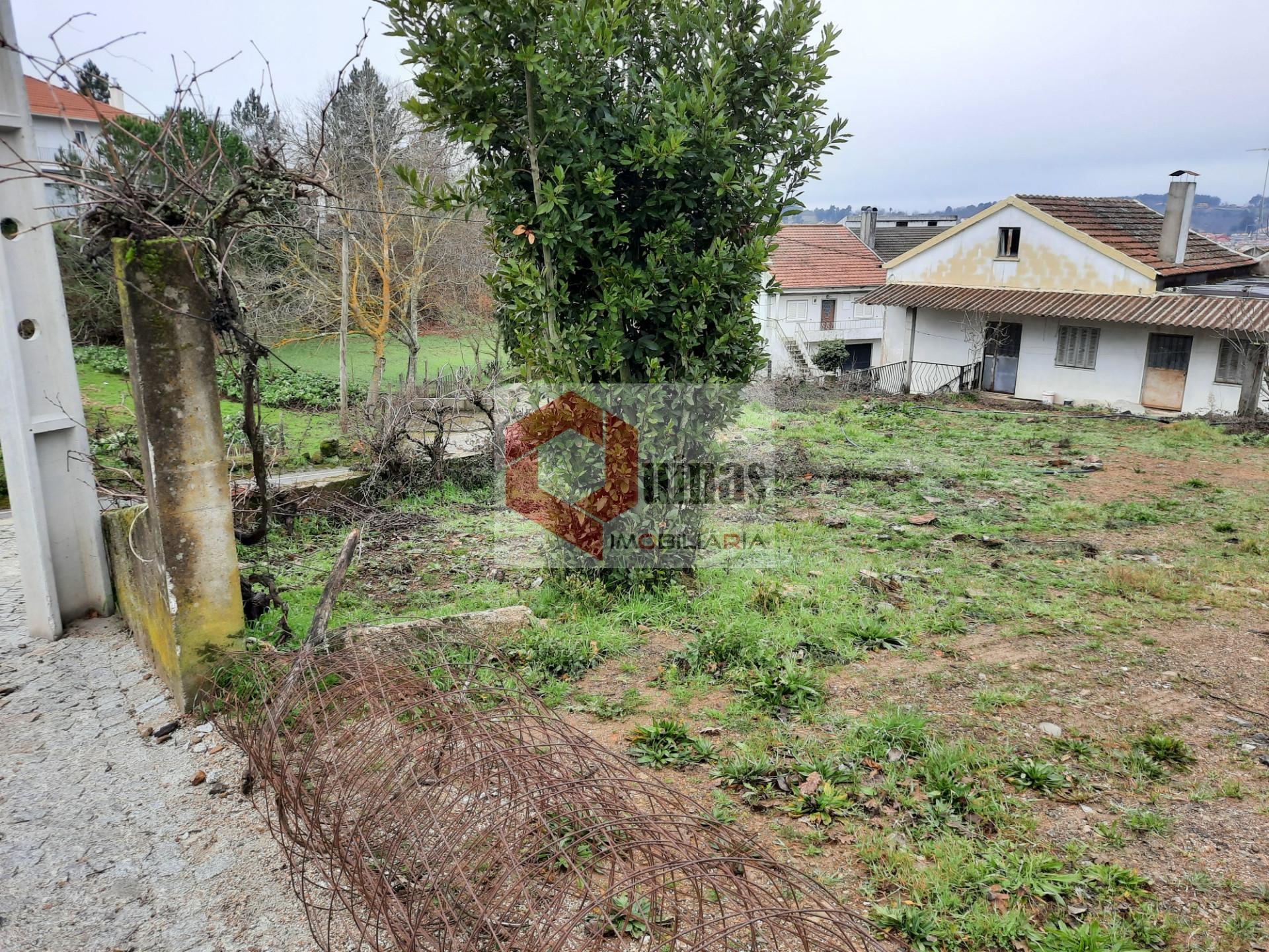 Terreno Para Construção  Venda em Sabugal e Aldeia de Santo António,Sabugal