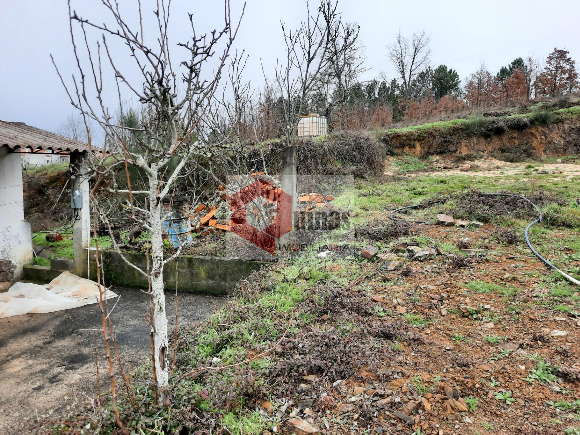 Terreno Para Construção  Venda em Sabugal e Aldeia de Santo António,Sabugal