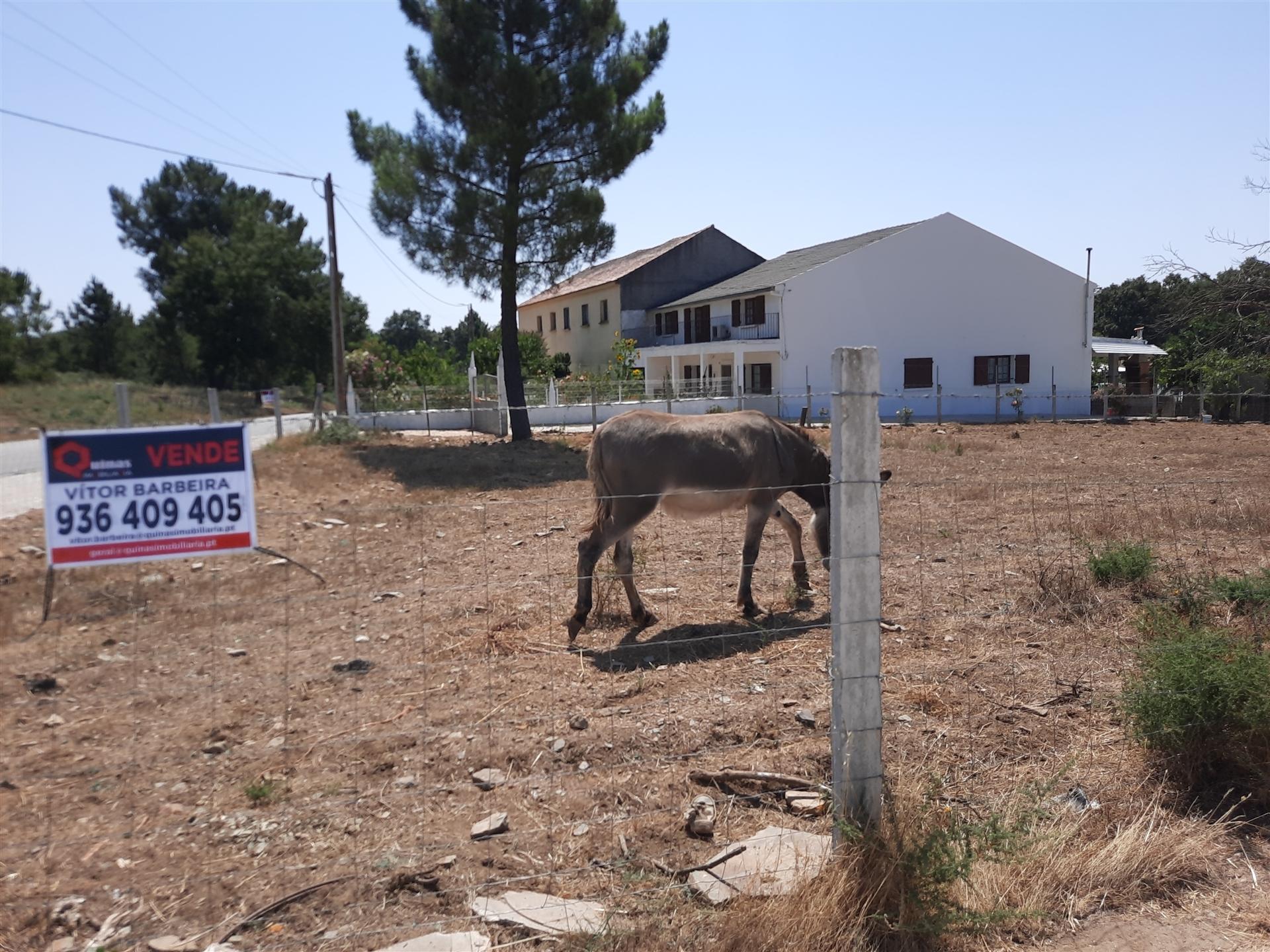 Venda de Terreno para construção no Sabugal