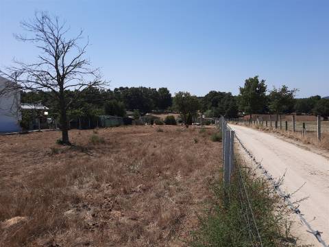 Venda de Terreno para construção no Sabugal